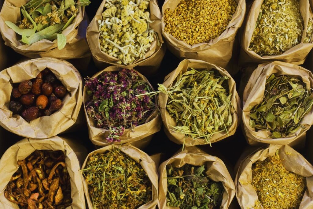 Em conclusão, as plantas medicinais são verdadeiros presentes da natureza, oferecendo uma abundância de benefícios para a saúde e o bem-estar. Desde tempos imemoriais, as pessoas têm utilizado essas plantas para tratar uma variedade de condições de saúde de forma segura e eficaz.