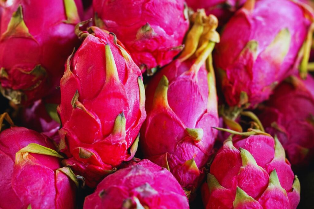 Pitaya ou “Fruta do Dragão”: 15 Motivos Para Plantar Essa Fruta Incrível