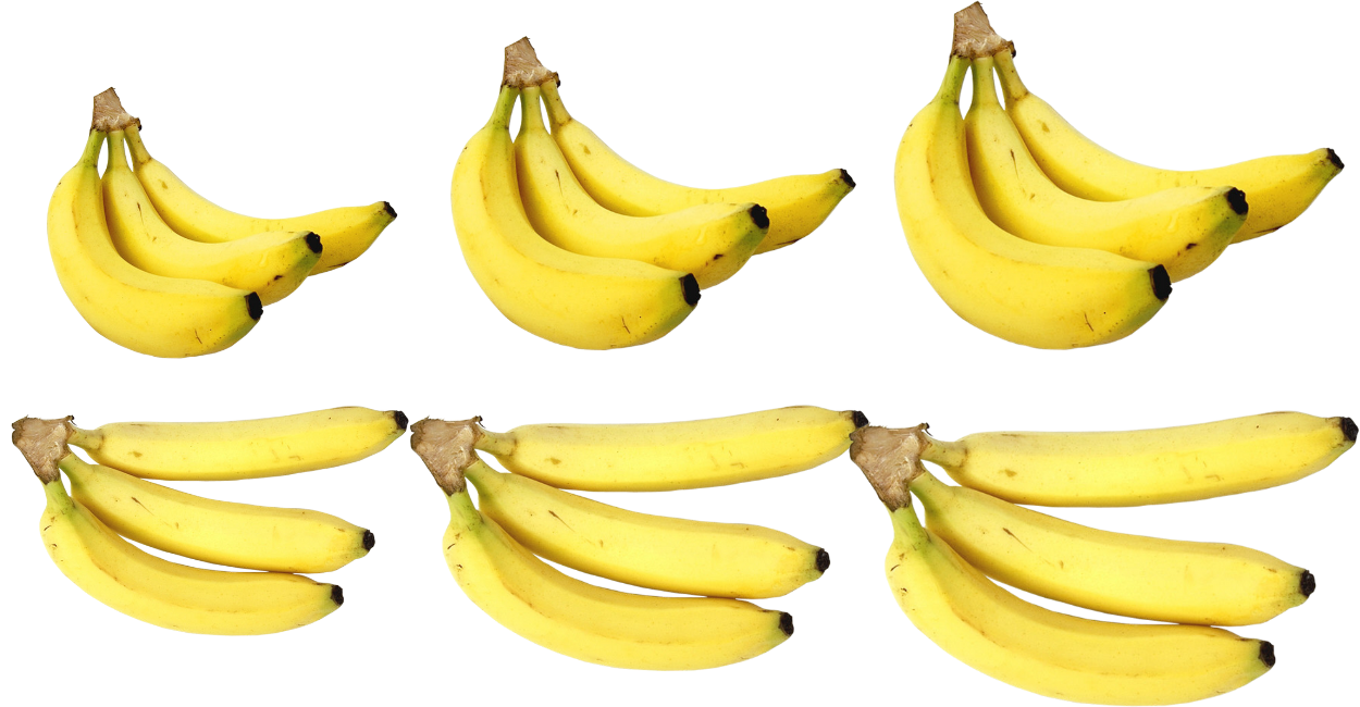 Comer Banana Terra Todos os Dias? Veja o Que Acontece no Seu Corpo