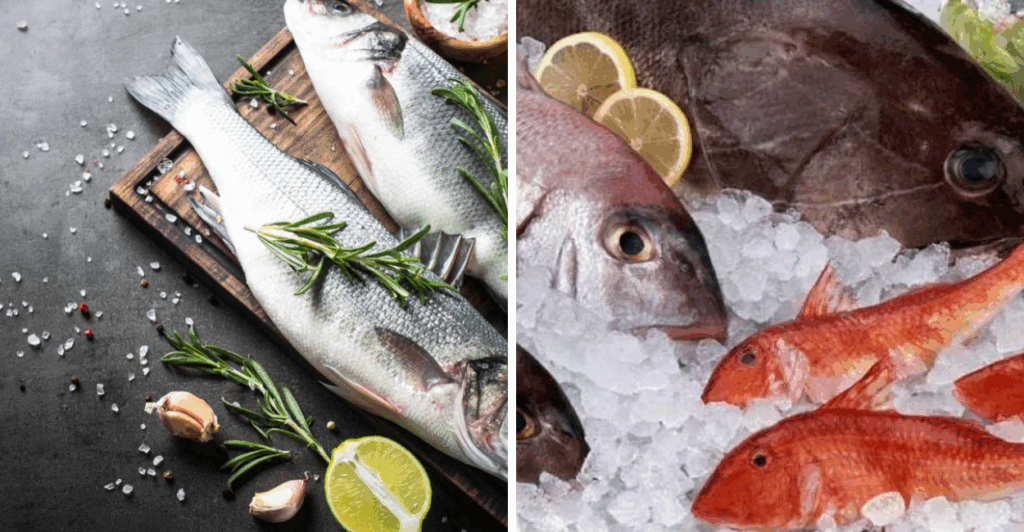 Descubra quais os peixes mais benéficos para a saúde e como incluí-los em sua dieta de forma prática e deliciosa.