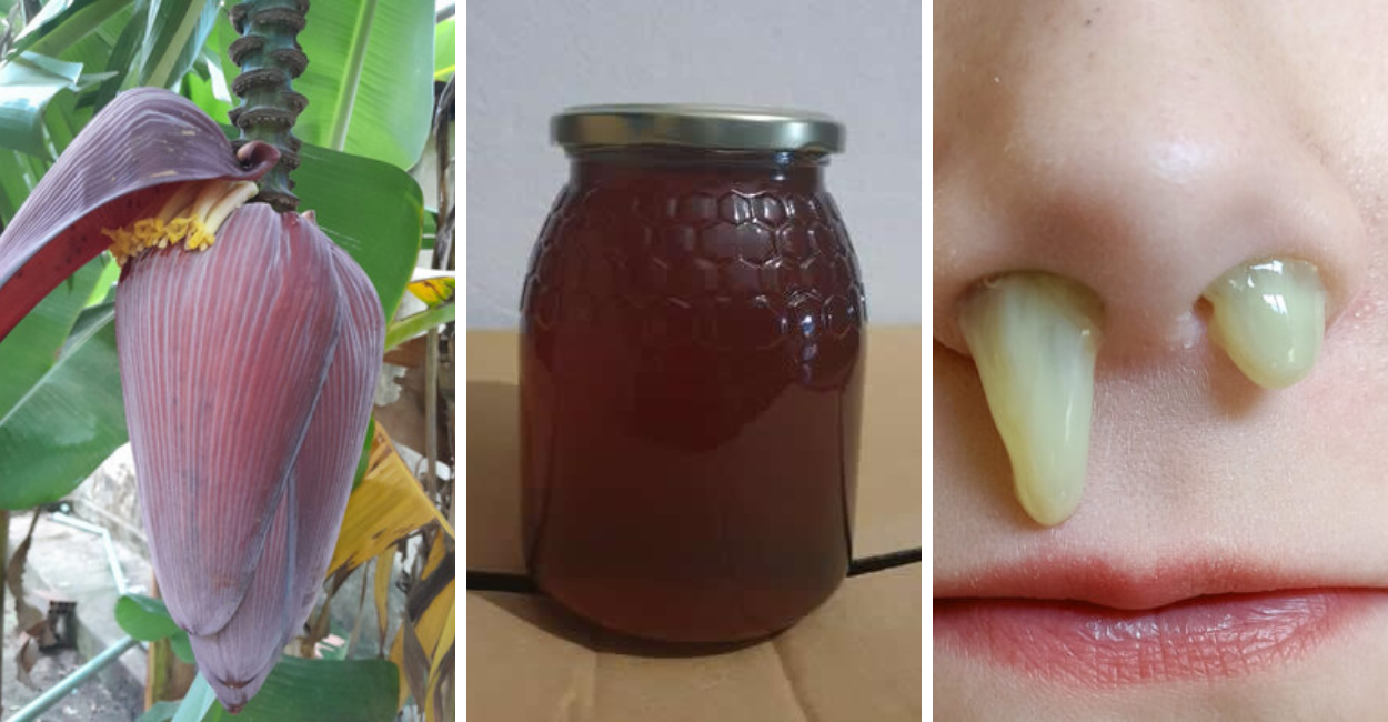 Xarope de Coração de Banana: Receita Natural para Eliminar Catarro Rápido