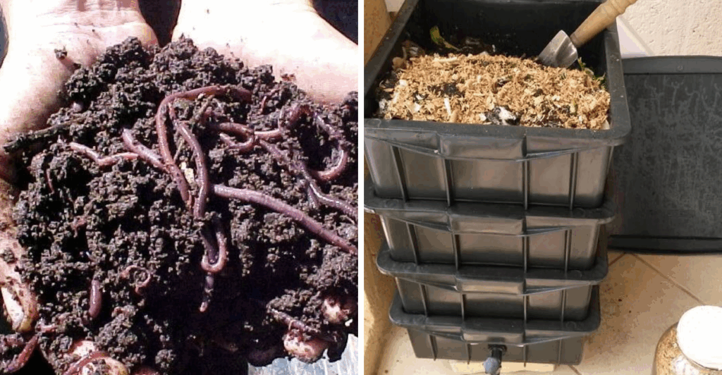 Aprenda a montar um minhocário composteira em casa e transforme seu lixo orgânico em adubo de forma prática e ecológica.